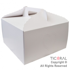 CAJA TORTA O TARTA CHICA 24 X 24 X 07CM 320 GRS 10 UNIDADES X 1